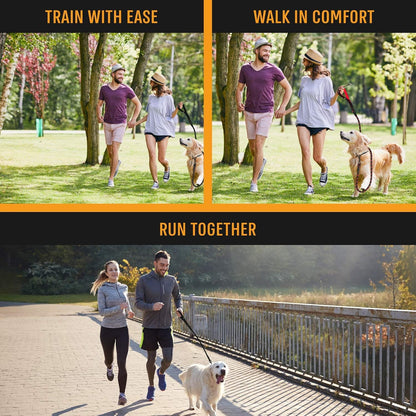 Strong Dog Rope Leash with Soft Comfortable Padded Handle and Highly Reflective Threads, Leash for Small Medium and Large Dogs, Puppy Leash for Training Running and Walking